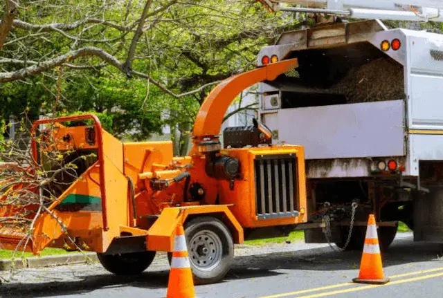 tree removal Monona wi