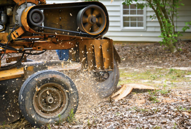 stump grinding dane wi